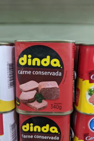 CARNE CONSERVADA DINDA 340GR