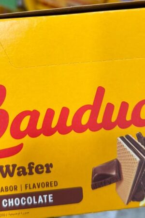 MINI BUDIN CHOCOLATE BAUDUCCO 40 GR CAJA 14 UN