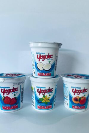 Yogulac Lactolanda Sabor Coco140ml