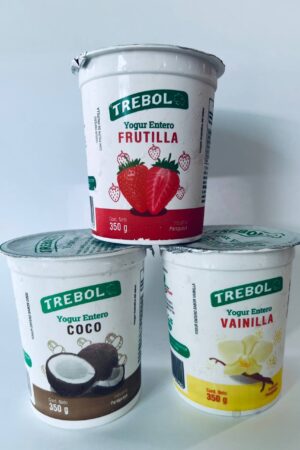 Yogurt Entero Coco Trebol 350g