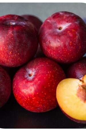 Ciruela el Kilo