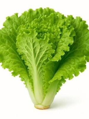 Lechuga 2 Unidades Por